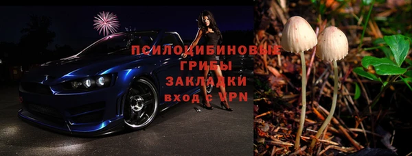 СК Няндома