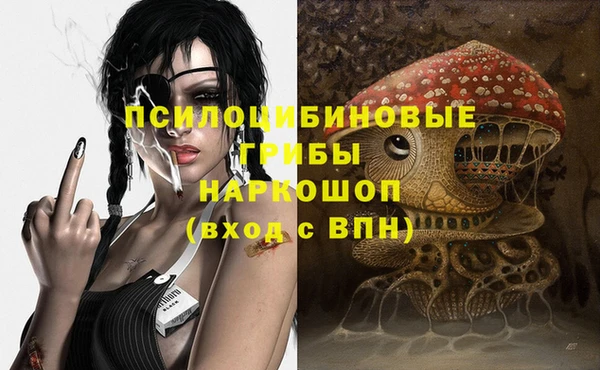 СК Няндома
