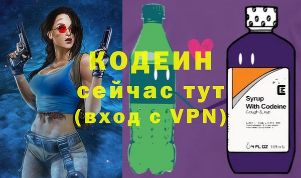СК Няндома
